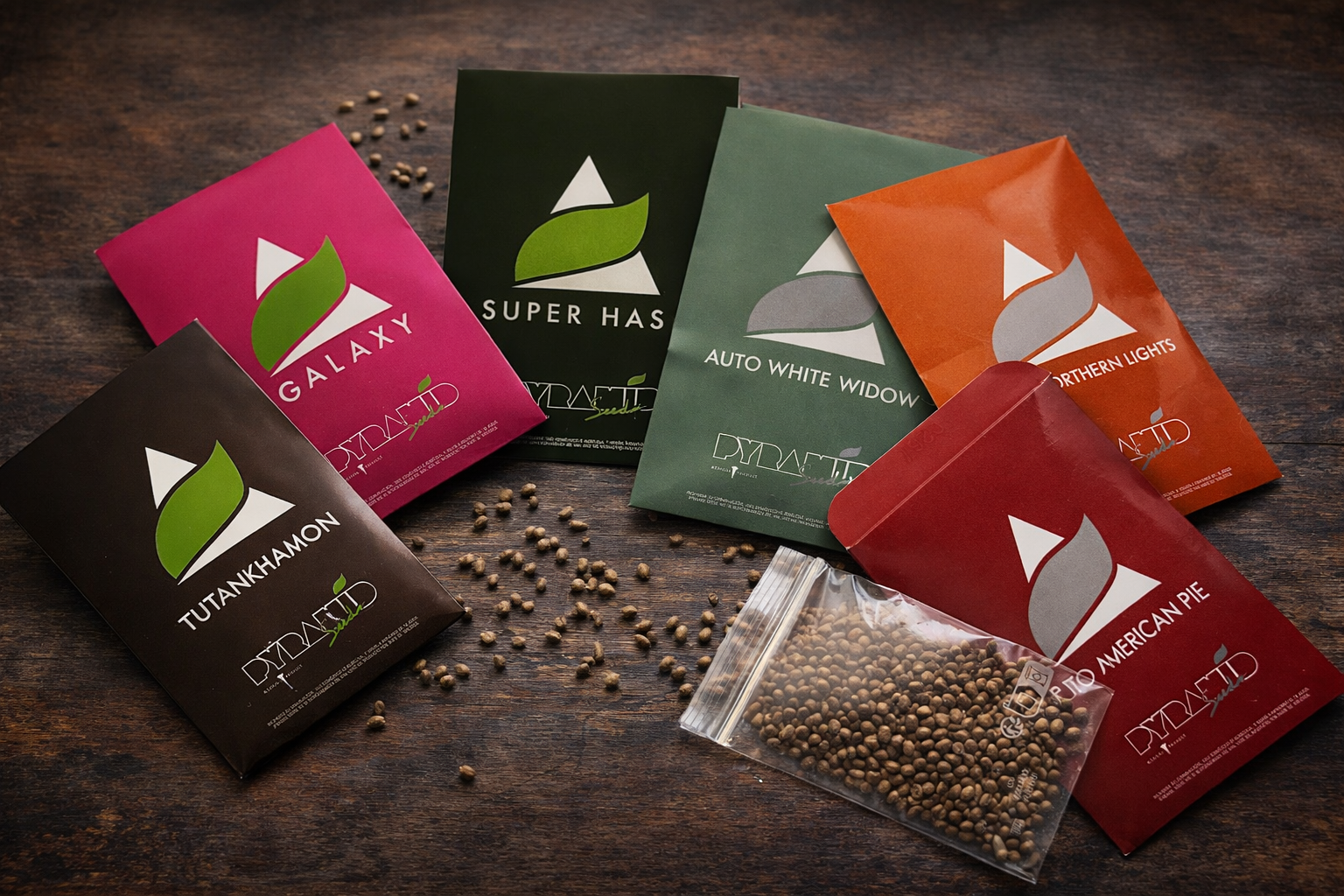 Pyramid Seeds Bulk Packs: 100 seeds for maximum efficiency.